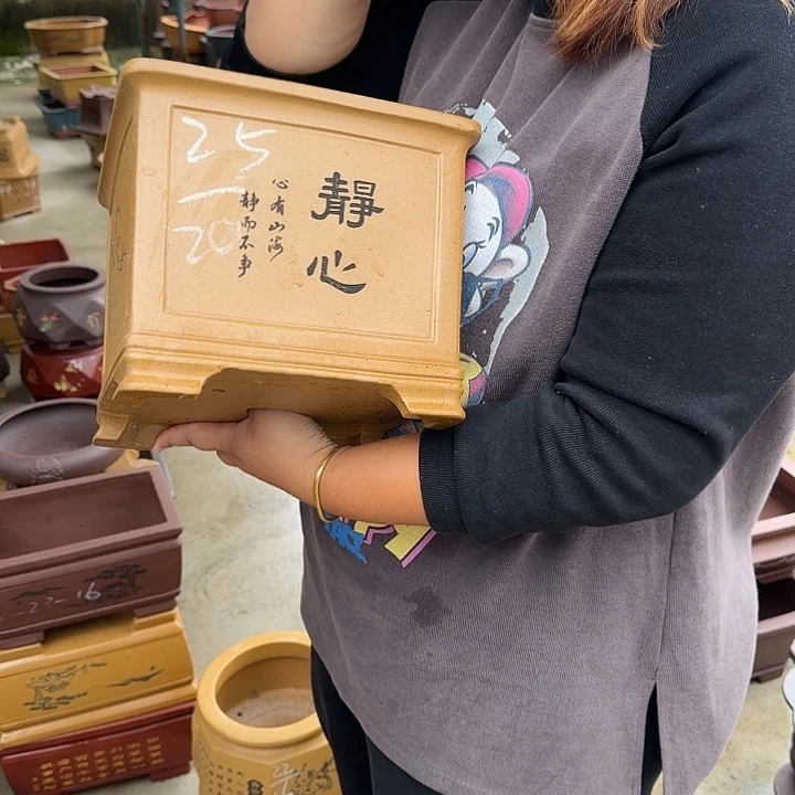 花盆紫砂我想吃东西我自己