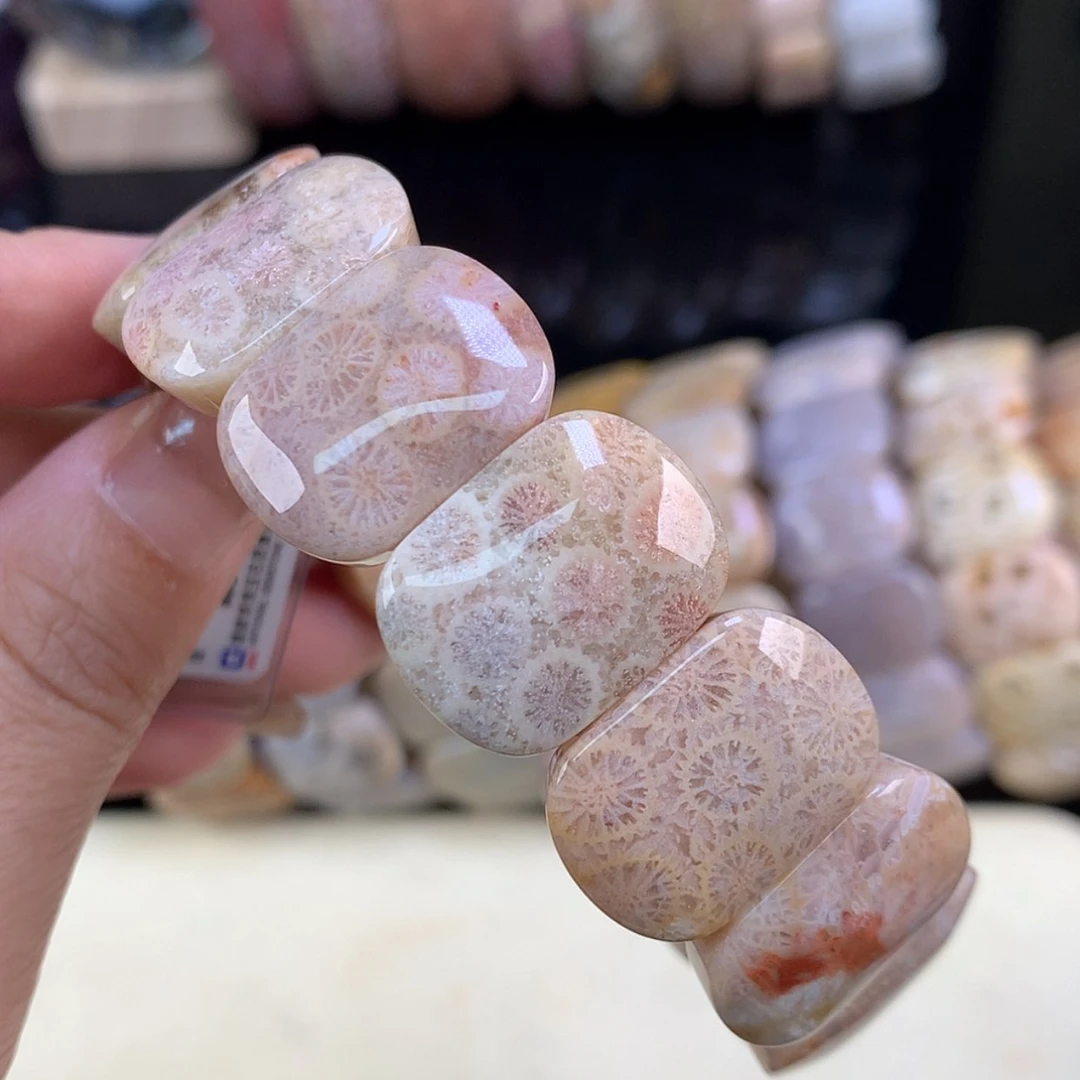 【闪购商品】颈饰未镶嵌硅化珊瑚（珊瑚玉）开播福利16号