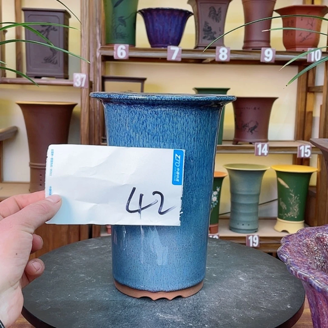 【闪购商品】紫砂花盆南*兰花455555555555566