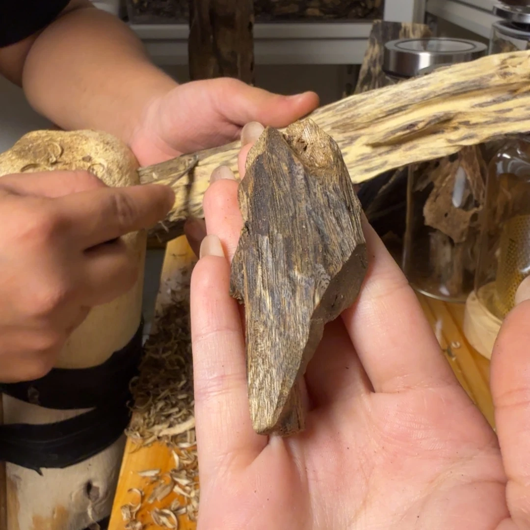 沉香白奇虫漏香8.9克