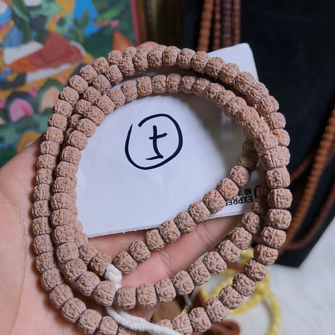 伍***月吊坠金刚菩提一代龙（切）一图一物