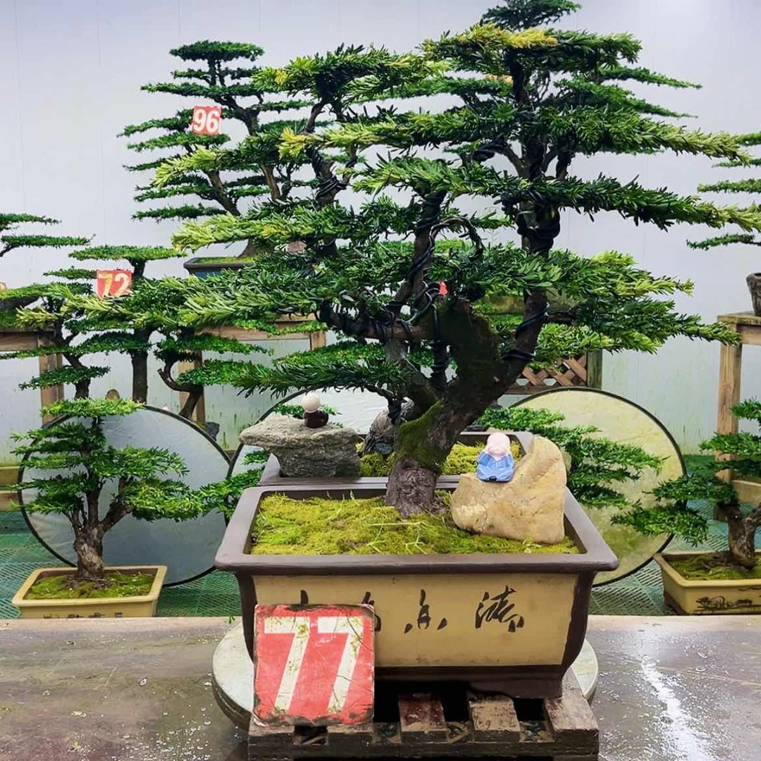 【闪购商品】无花朵笔****者