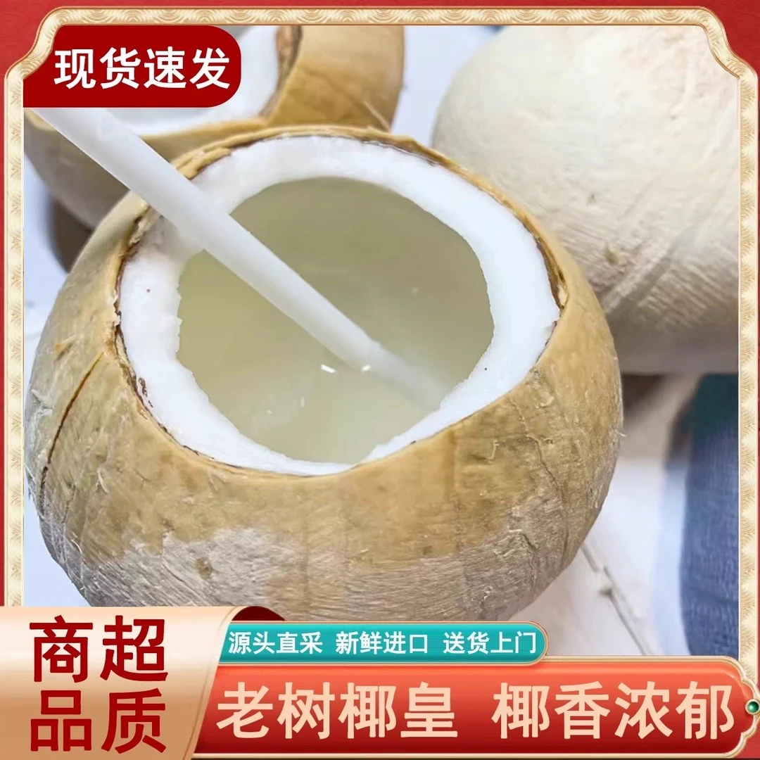 泰国进口丹嫩沙多香奶椰皇老椰子孕妇新鲜水果顺丰老椰煲汤