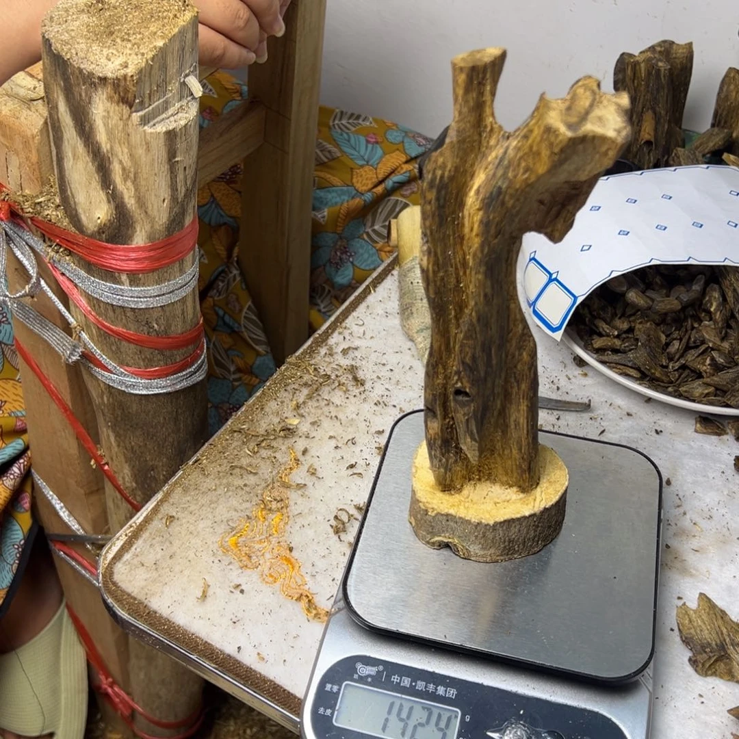 线香奇楠虫漏香摆件