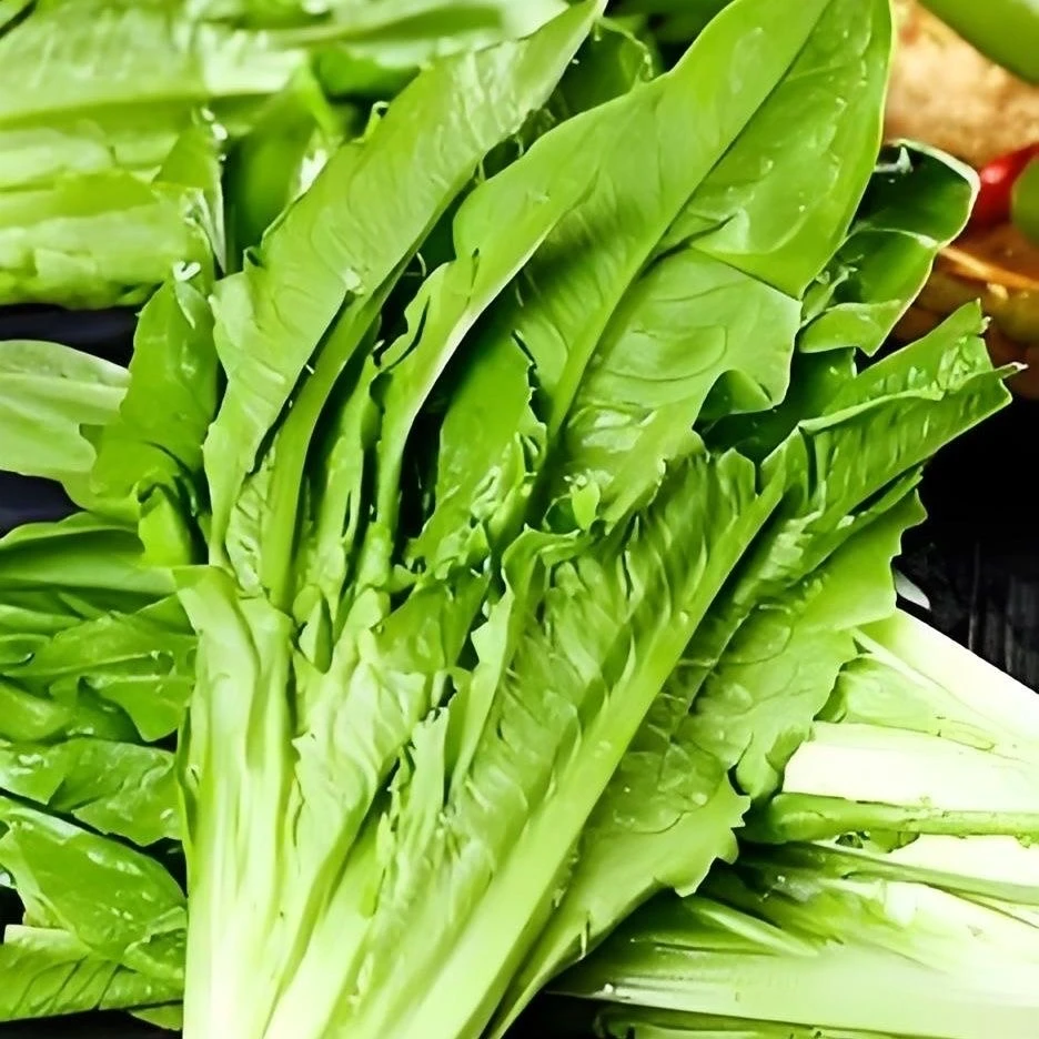 新鲜油麦菜250g±25g油麦菜