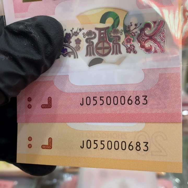 塑料龙蛇双胞胎全同号一对中间豹055000683