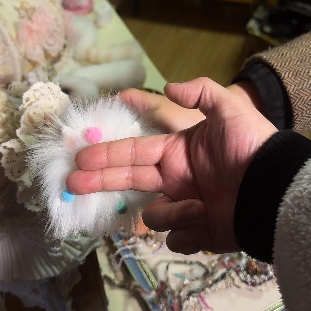 茶宠牛噜啦啦啦啦啦啦