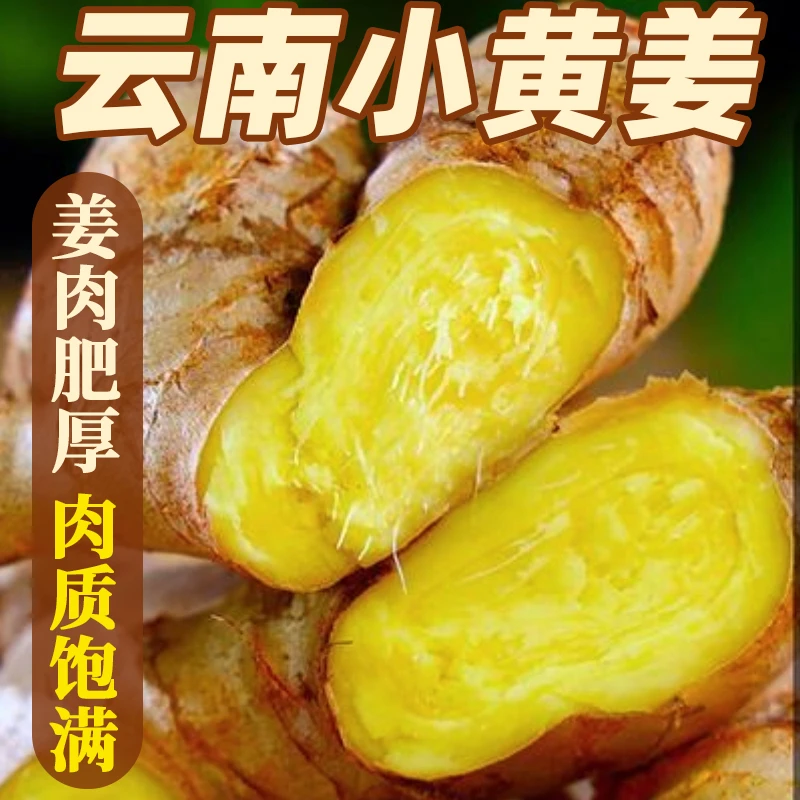 新鲜红河云南小黄姜3斤生姜种子蔬菜老姜现挖高山沙姜土姜