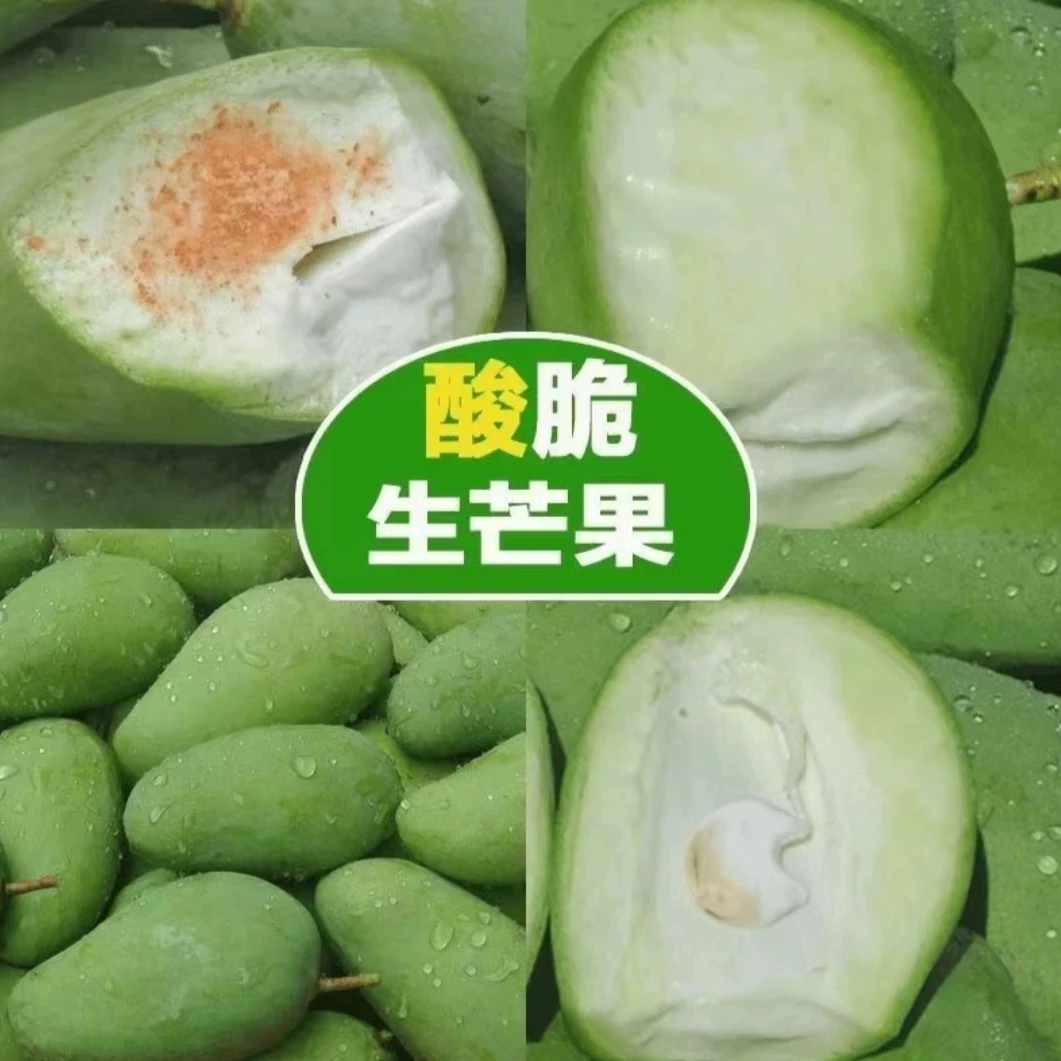 青芒果新鲜酸芒果生吃酸脆生芒果三斤包邮孕妇新鲜水果蘸辣椒芒果