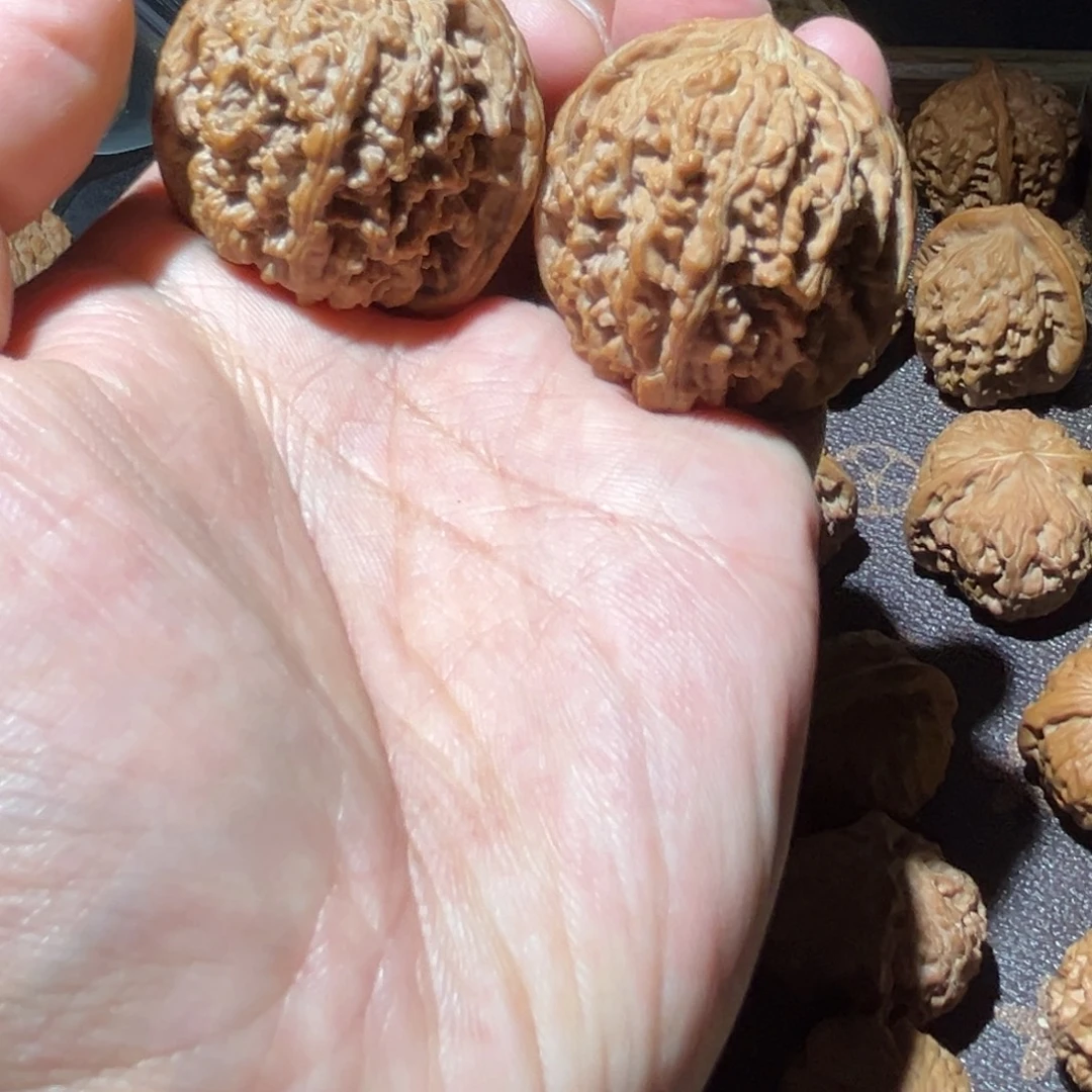 瑞金文玩核桃百花山满天星 38.40.40