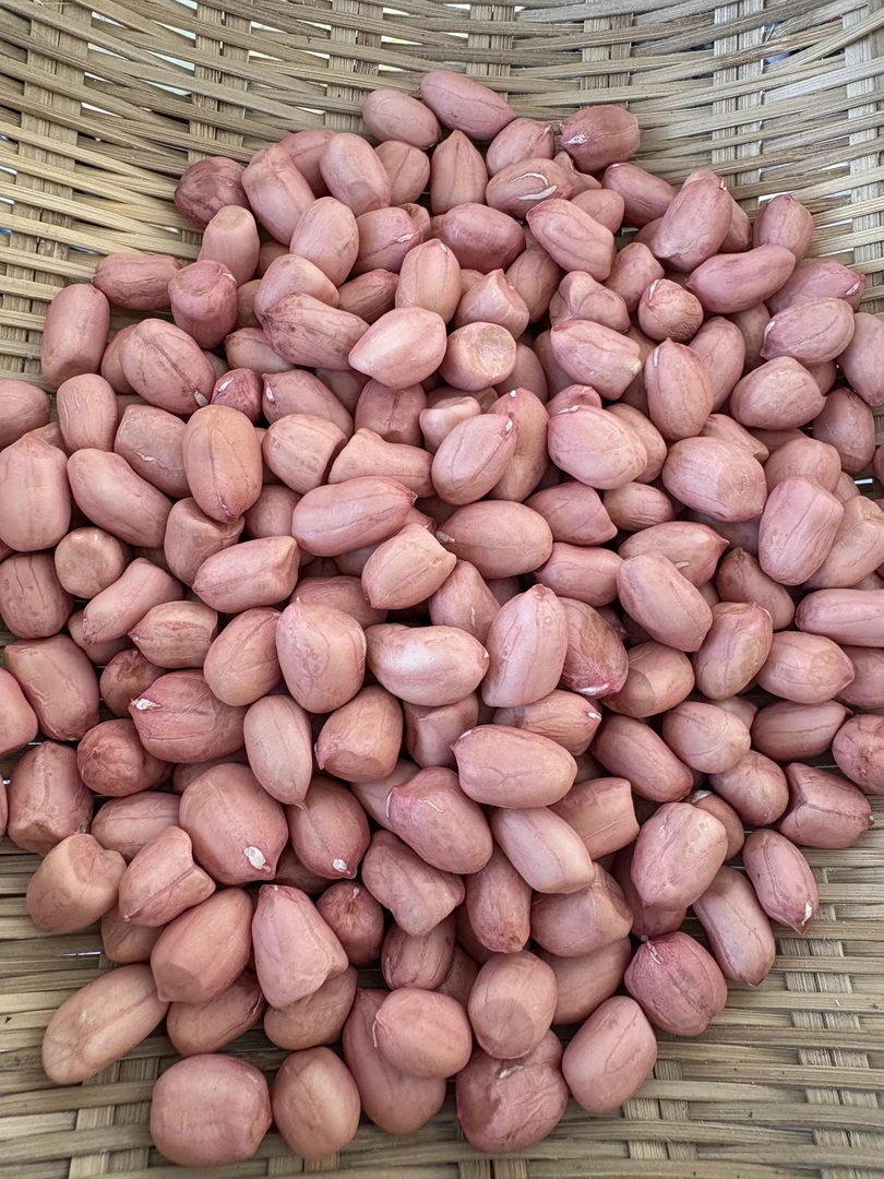 正宗粉色花生粒剥壳