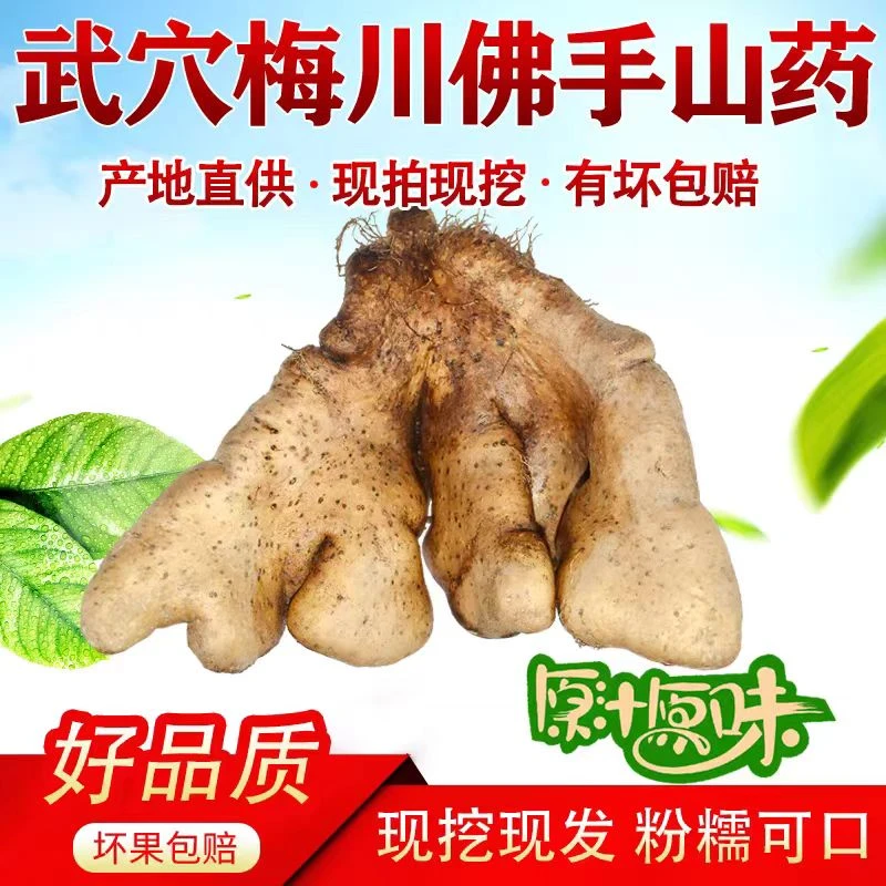 湖北武穴佛手山药梅川产地新鲜现挖现发