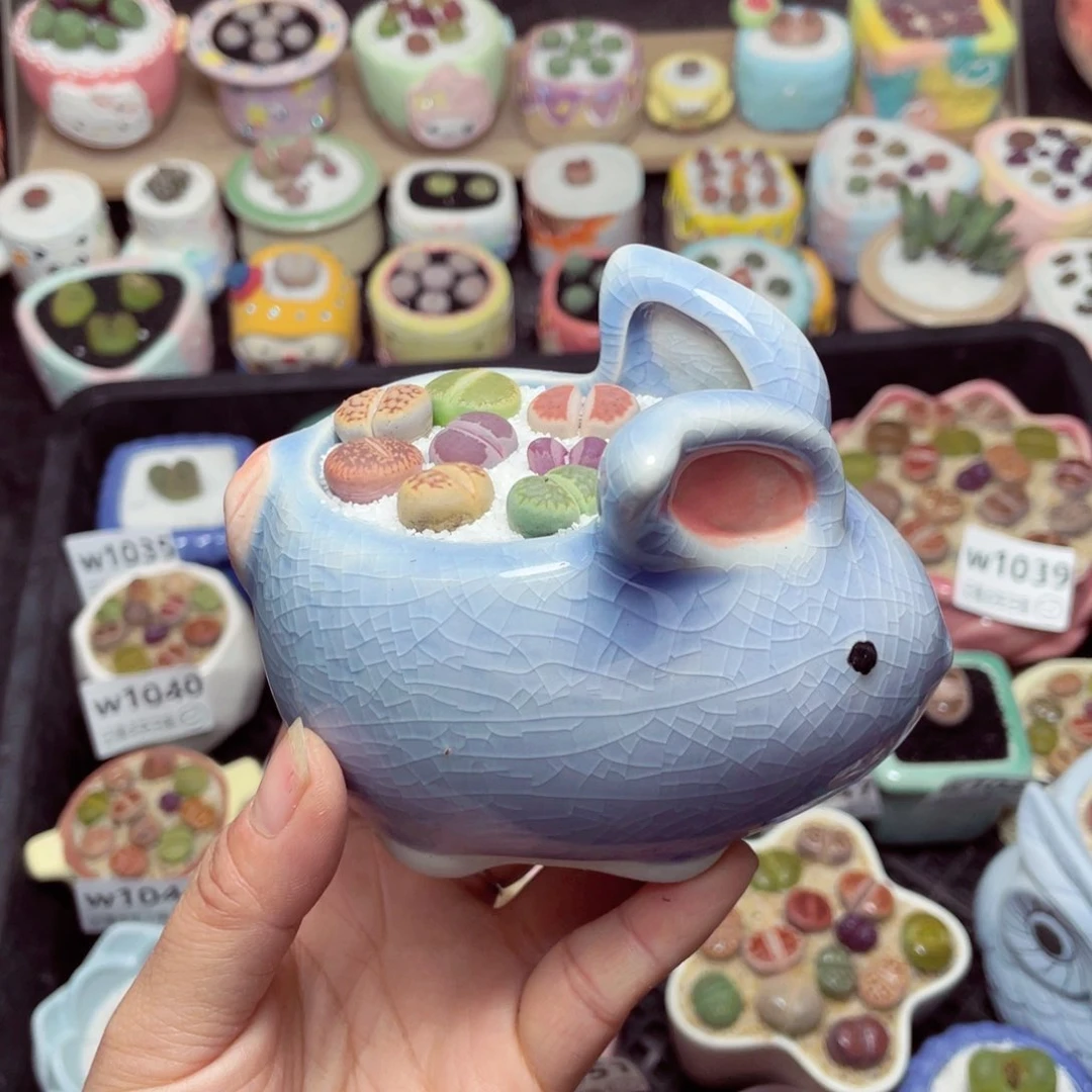 w1060 -零下地区拍保温箱-15支持寄养