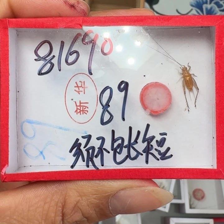 用***0蟋蟀蝈蝈我在外面吃饭111111