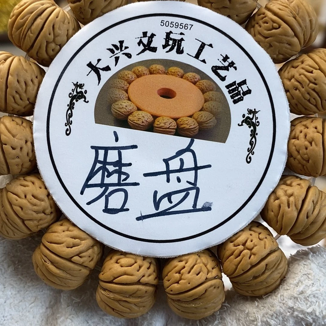 精挑毕业级19磨盘小宽脐