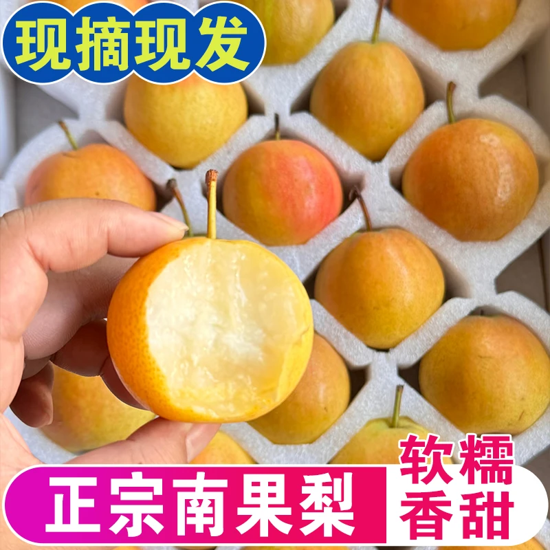 【放软吃】鞍山南果梨新鲜应季水果酸甜多汁酒香软糯孕妇水果包邮