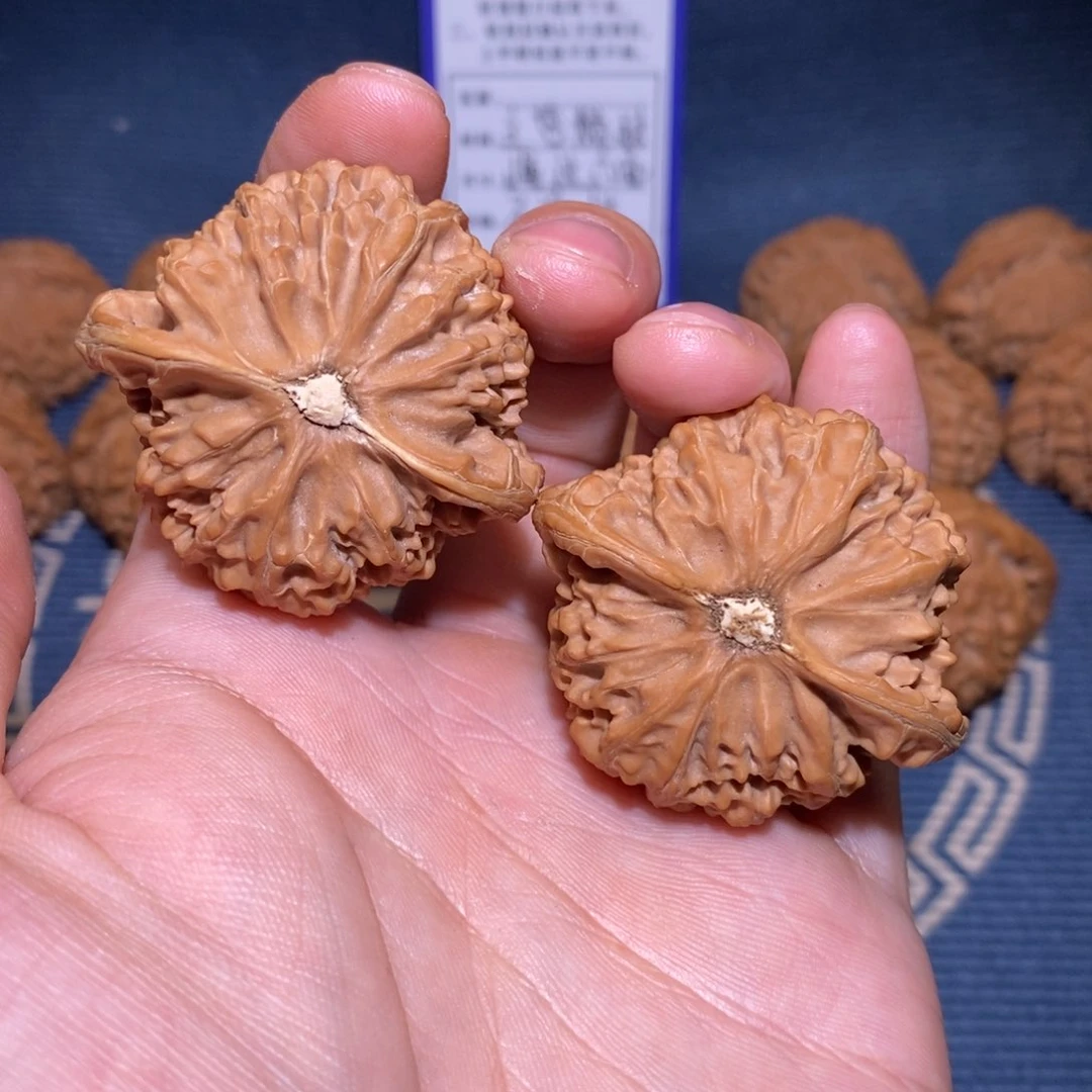 45尺 全品无修白茬 宫灯