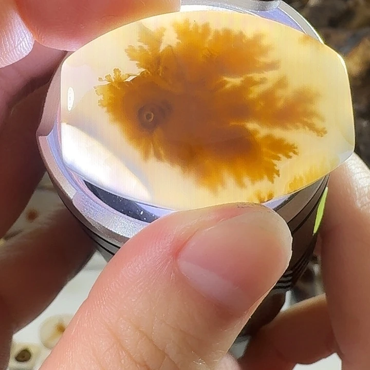 玛瑙/玉髓未镶嵌珠宝奇石