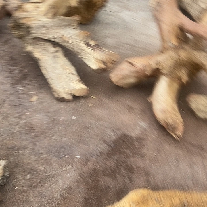 一***店楠木（金丝楠）其他