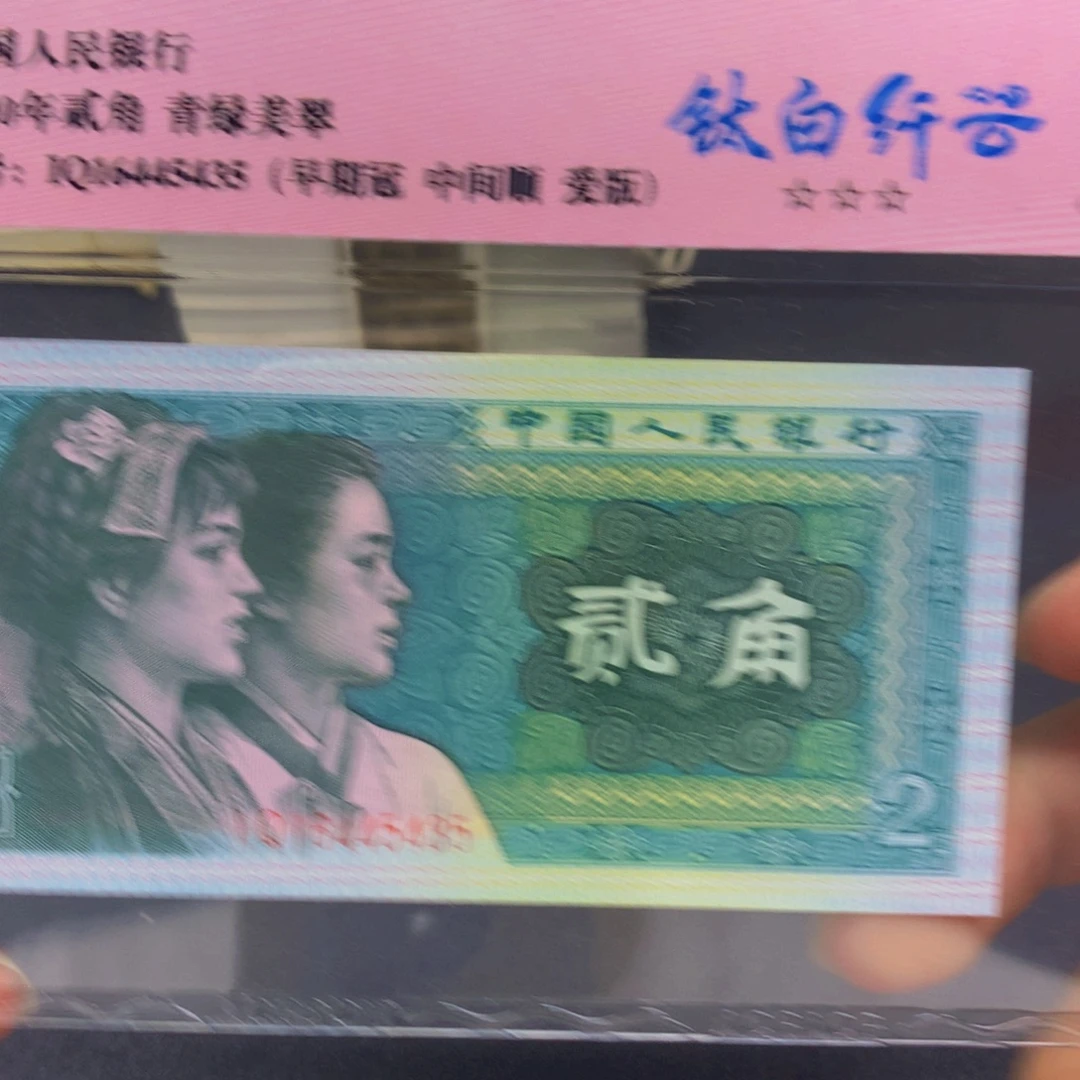在这个充满生机又神秘美丽色彩
