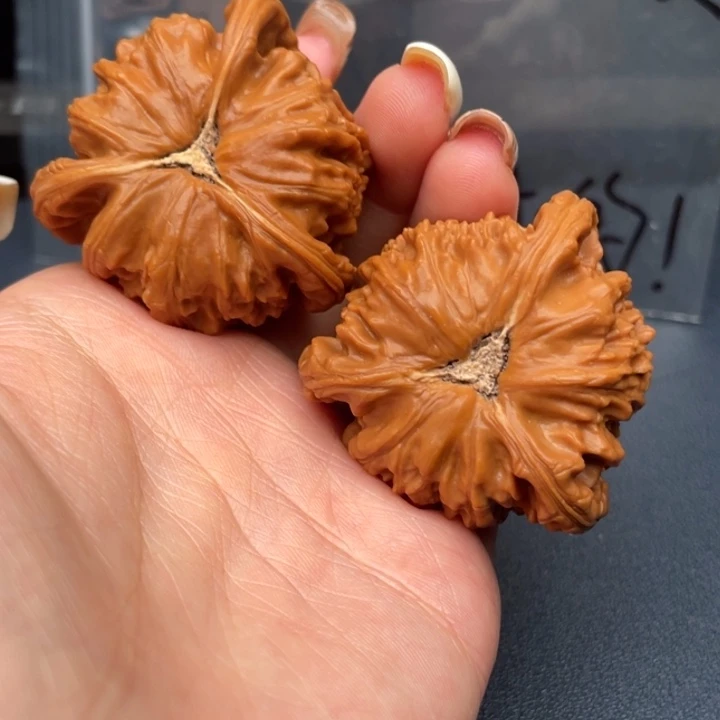 Y****吊坠文玩核桃白狮子