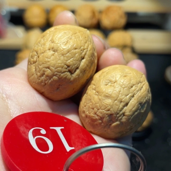 金龟子30尺寸核桃，
