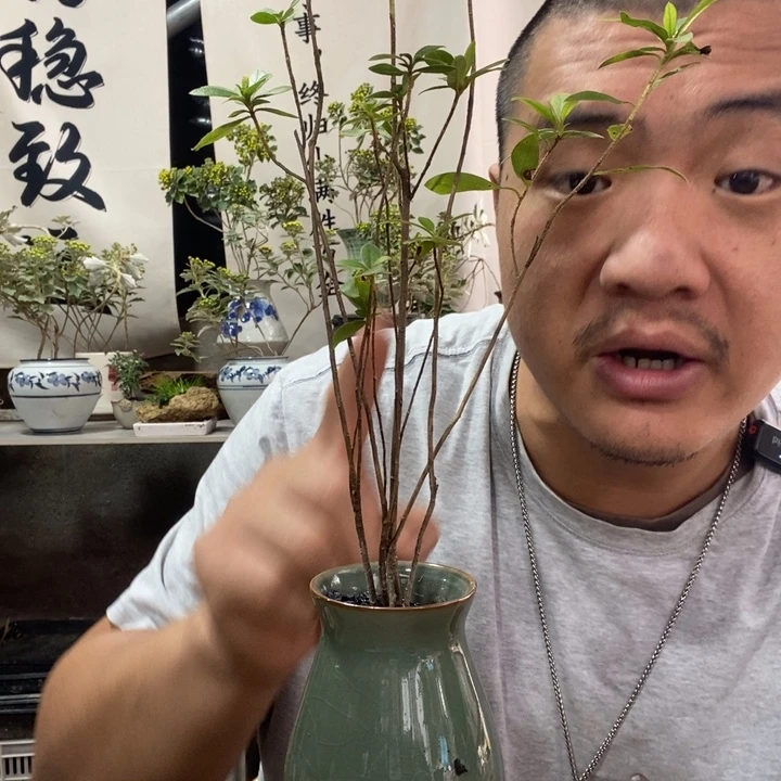 无花朵退款拉黑拉黑20