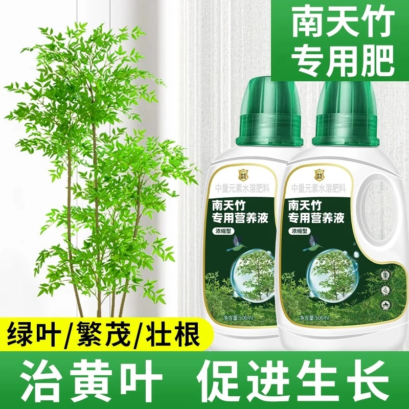 南天竹浓缩营养液花肥治黄叶落叶火焰南天竺专用肥水培营养水溶肥