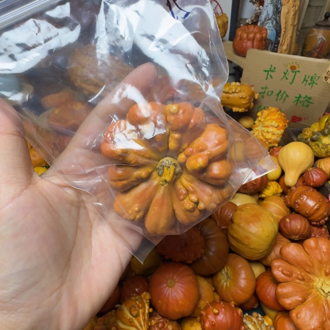 b***y特价拍品葫芦不退不换