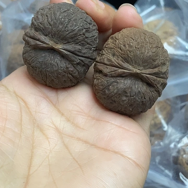 木质类云南铁核桃基地6