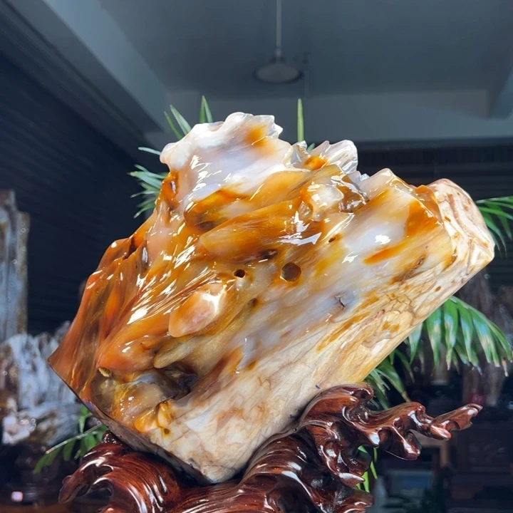 硅化玉（树化玉）未镶嵌珠宝奇石