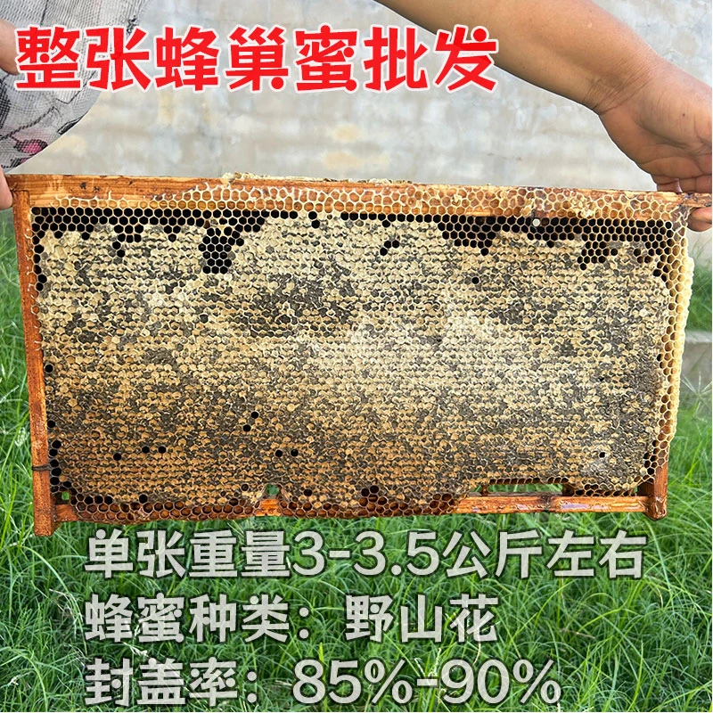 整张蜂巢蜜批发 天然老蜂巢蜜 野山花正宗纯蜂巢蜜纯正天然真蜂蜜