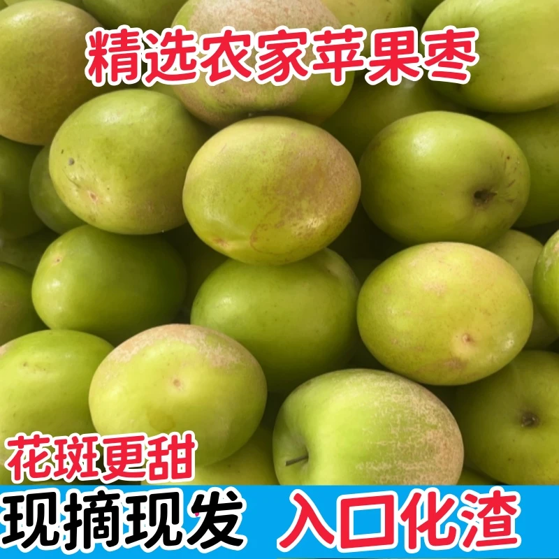 西双版纳苹果枣爆甜多汁皮薄肉厚无渣丝滑产地直销