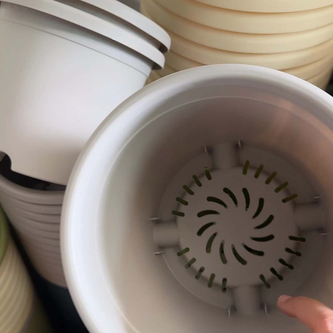 树脂四季3号无托10个灰白