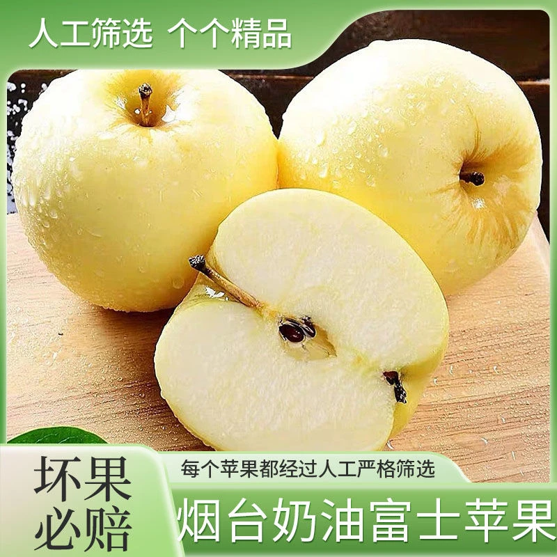 【今年头茬新果】山东奶油富士苹果今年新果产地直发老少皆宜