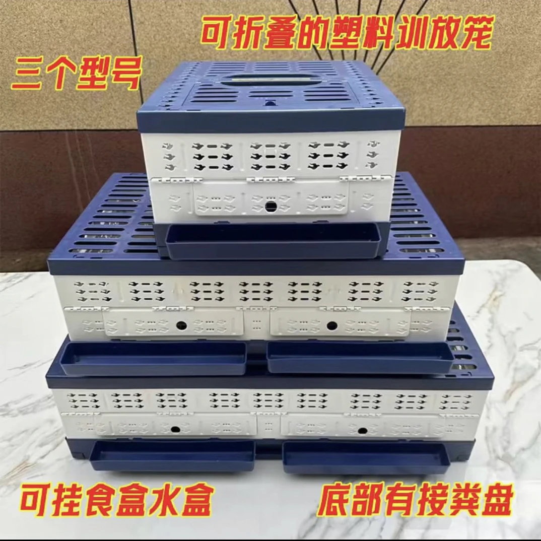 启航可折叠塑料训放笼 放飞笼鸽子笼高端便携赛鸽用品用具