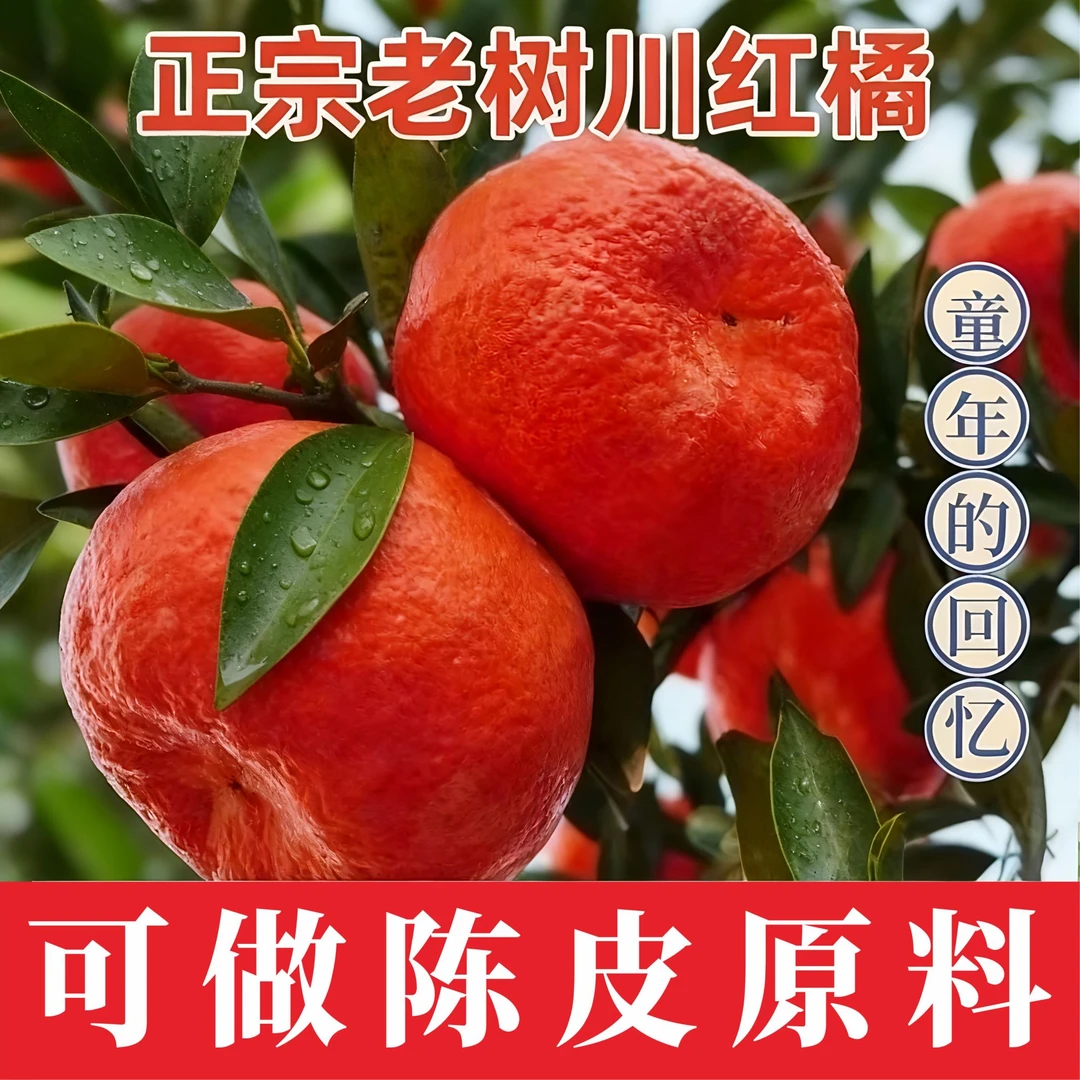 正宗川红橘十斤带包装四川老红桔可做陈皮薄皮新鲜水果应季水果