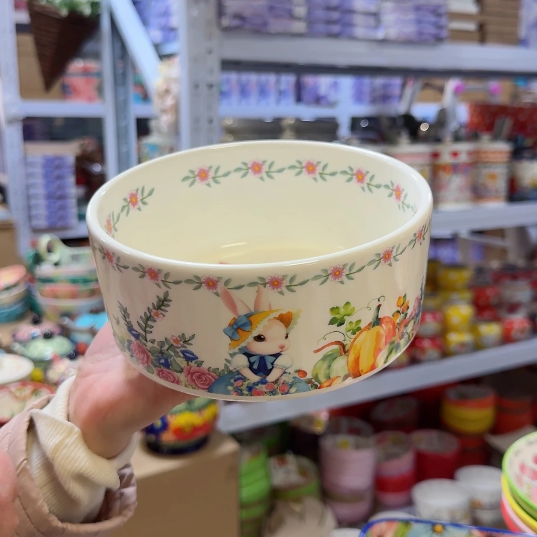 瓷片6英寸南瓜兔沙拉碗一只