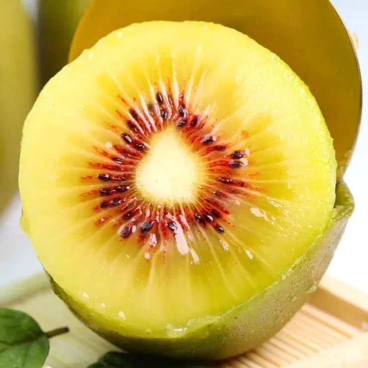 带壳发货  正宗贵州六盘水水城区红心猕猴桃新鲜采摘香甜多汁