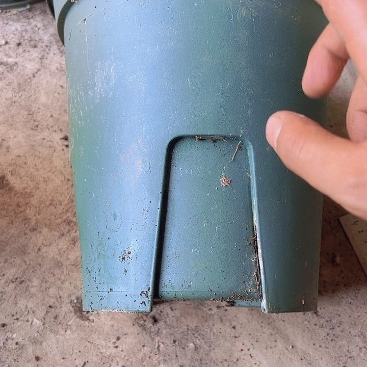 加仑盆口径23.5高24发5个