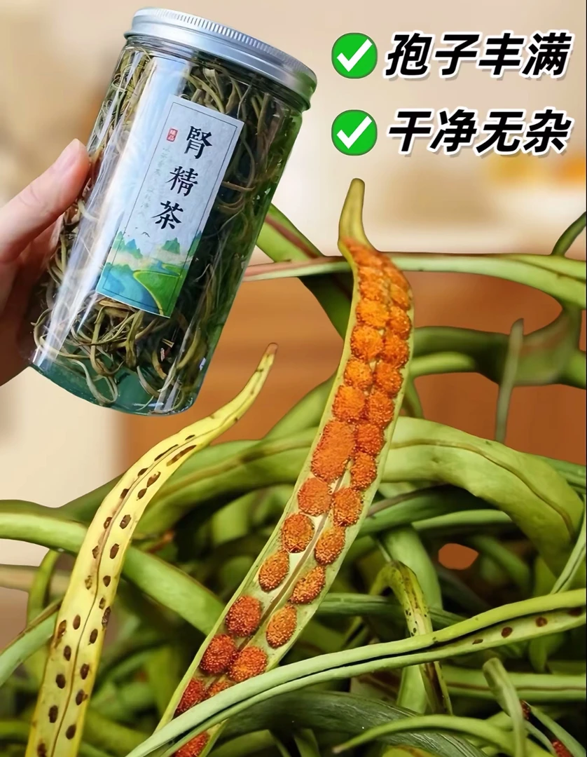 泡水喝长白山深山小草