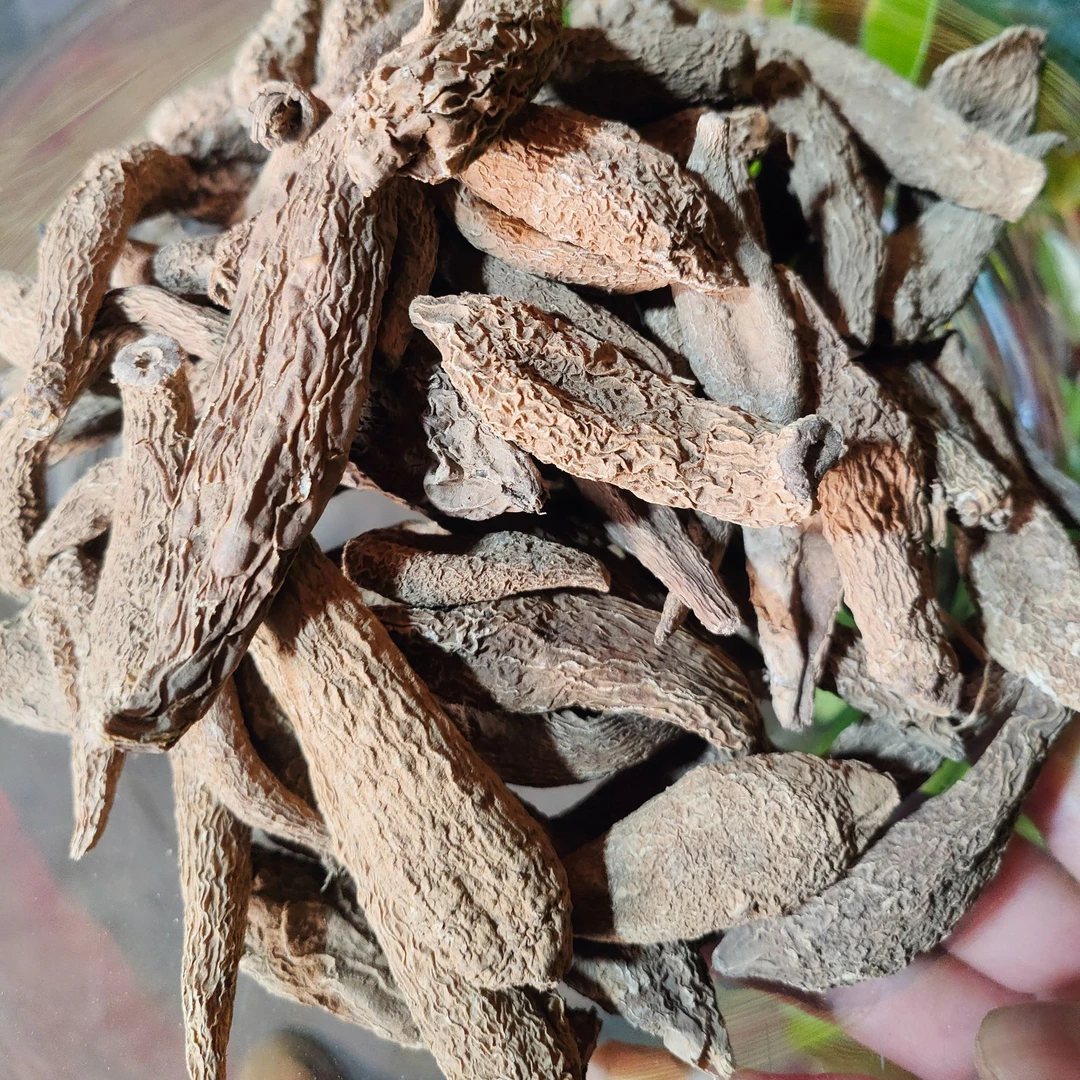 1【安-胃-丹-菇】净含量250g-1500g【阿虎现收】