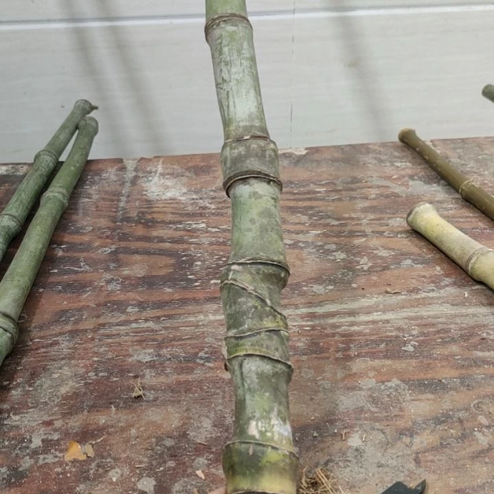 林***青实心玉竹手把件金条料