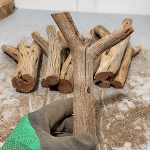 大果紫檀（缅甸花梨）曾***诺