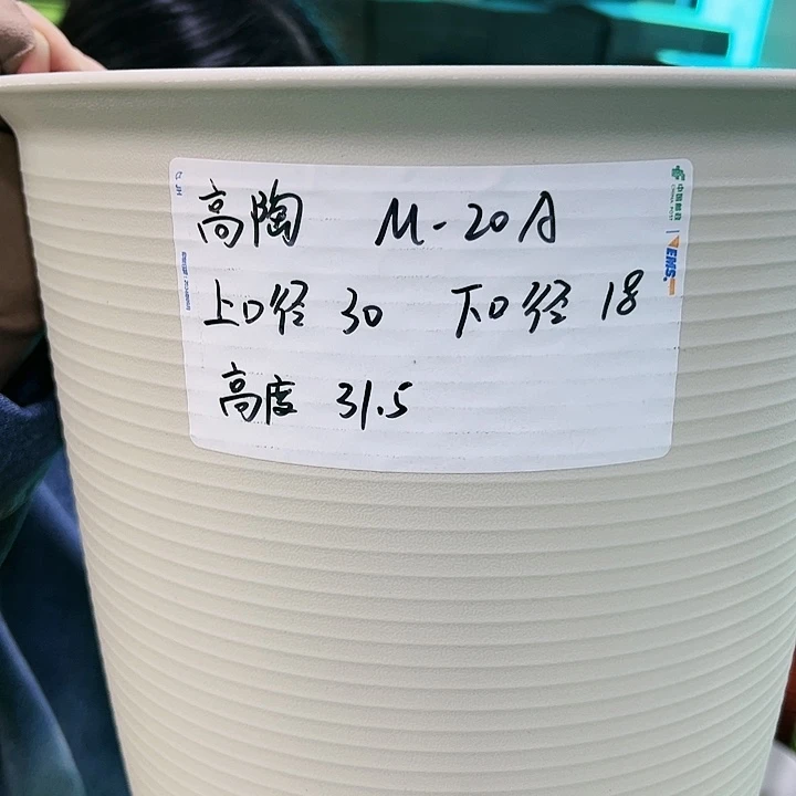 正品高陶口30高31米色3个无托