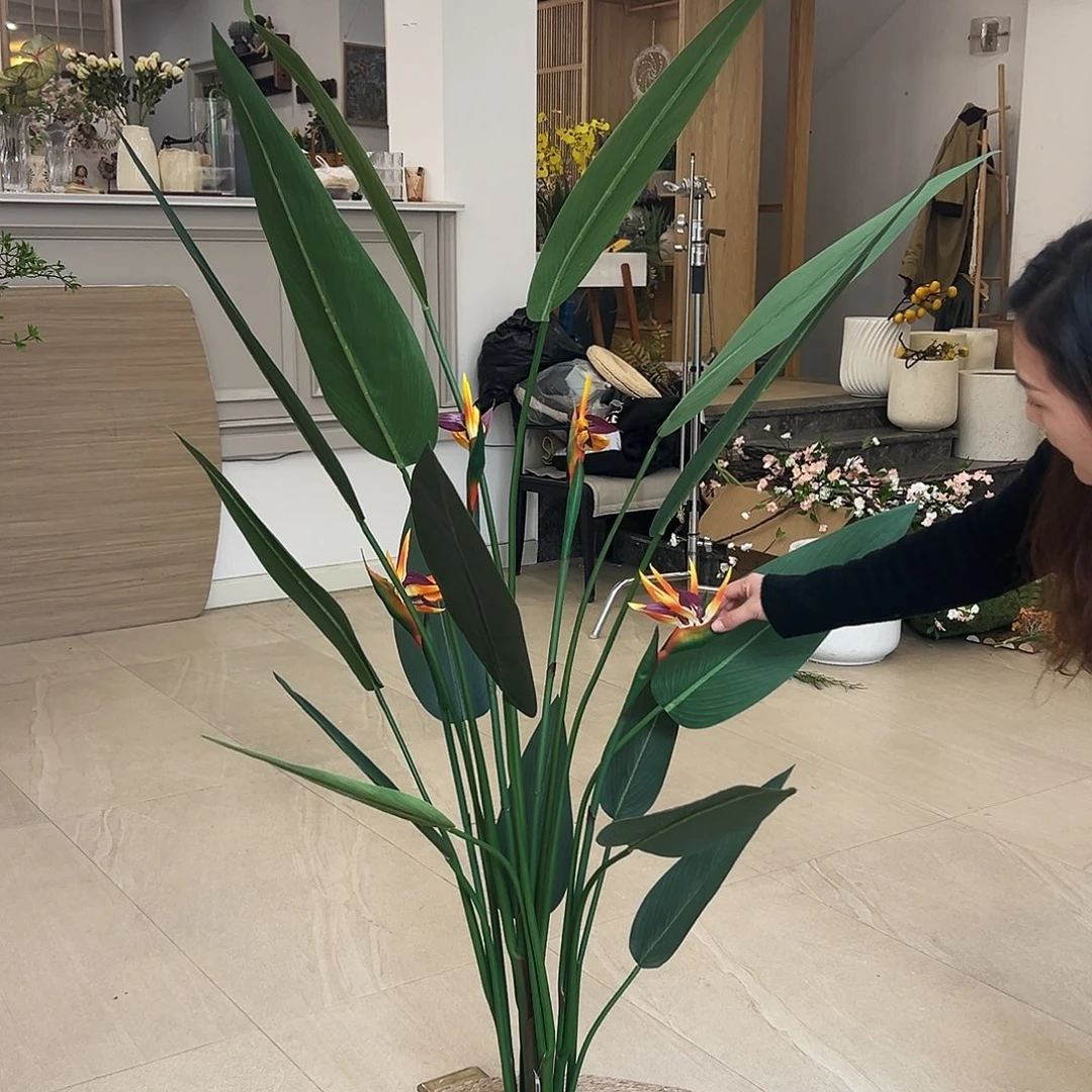 抖音直播福利一个