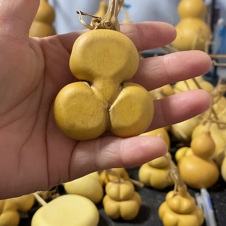 p****n葫芦的颜色也很好看