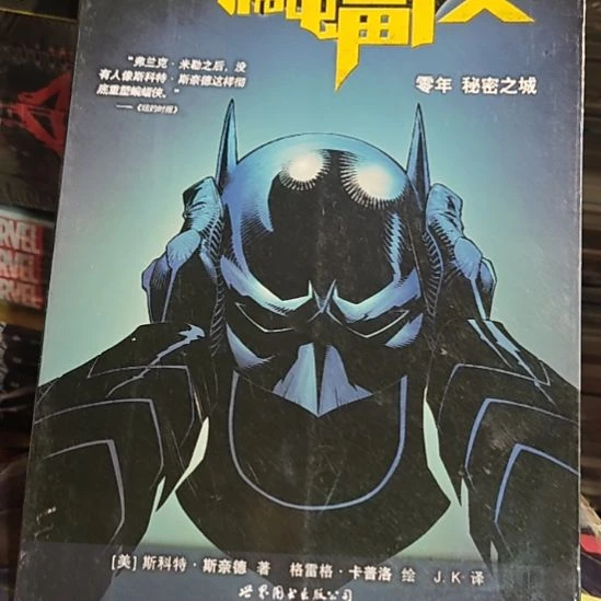 蝙蝠侠。零年秘密之城平装