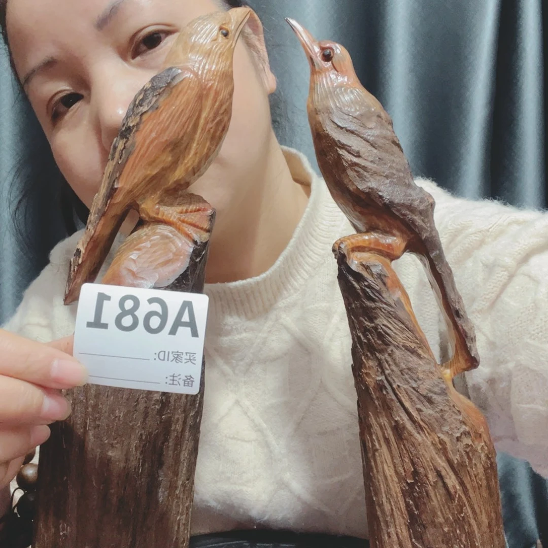 建****站百年树的生长环境