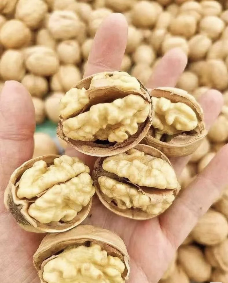 手捏薄皮熟核桃草本奶香味美味坚果零食
